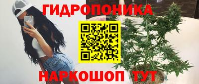 соль ск Моздок