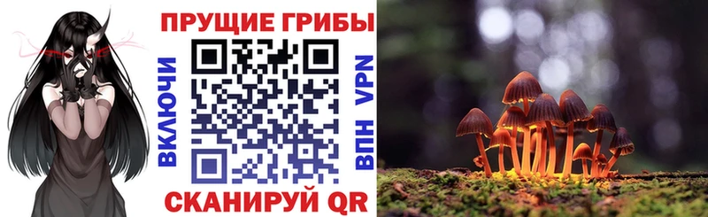 Псилоцибиновые грибы мицелий  Воскресенск 