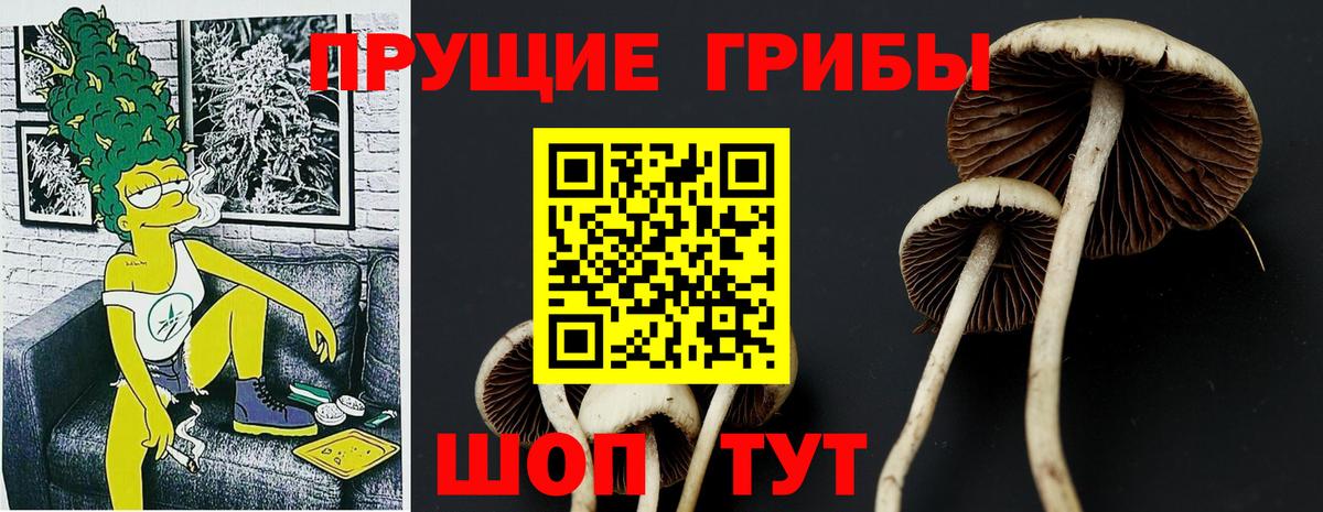 Воскресенск  Галлюциногенные грибы Magic Shrooms  Вход с VPN 