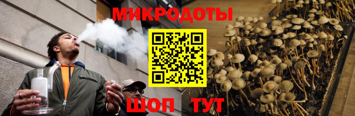 Галлюциногенные грибы мицелий Воскресенск